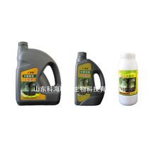 大樹澆灌生根靈 山東科海聯(lián)邦生物科技在現(xiàn)代信息技術(shù)領(lǐng)域的跨界創(chuàng)新